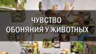 ЧУВСТВО ОБОНЯНИЯ У ЖИВОТНЫ