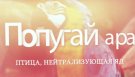 ПТИЦА, НЕЙТРАЛИЗУЮЩАЯ ЯД: ПОПУГАЙ АРА