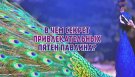 В чем секрет привлекательных пятен павлина?