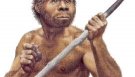 Человек прямоходящий (Homo erectus) и последующие виды: реальные типы людей