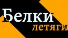 За одну минуту одна информация - Белки летяги