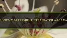 ПОЧЕМУ ВЕРУЮЩИЕ СТРАШАТСЯ АЛЛАХА?