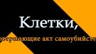 За одну минуту одна информация - Клетки, совершающие акт самоубийства